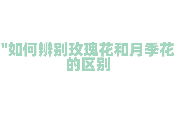 "如何辨别玫瑰花和月季花的区别？"